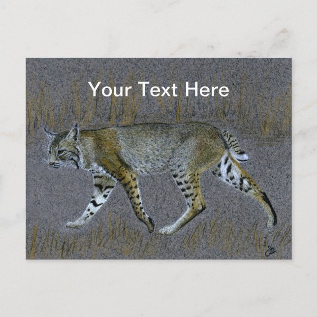Bobcat Postcard (Front)