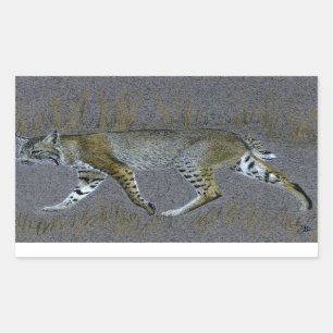 Bobcat Rectangular Sticker