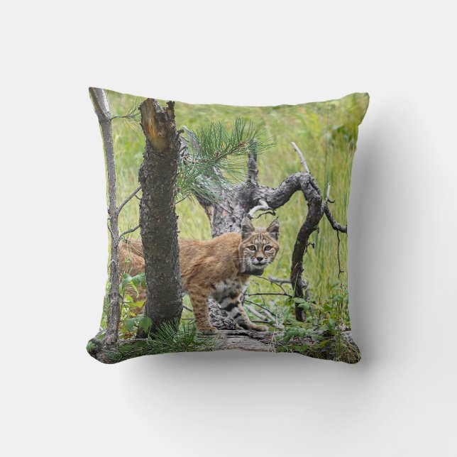 Bobcat Throw Pillow (Front)