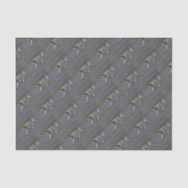Bobcat Tissue Paper (Front)
