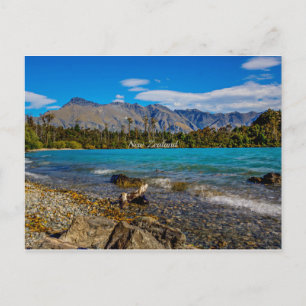 Bob's Cove, New Zealand Postcard