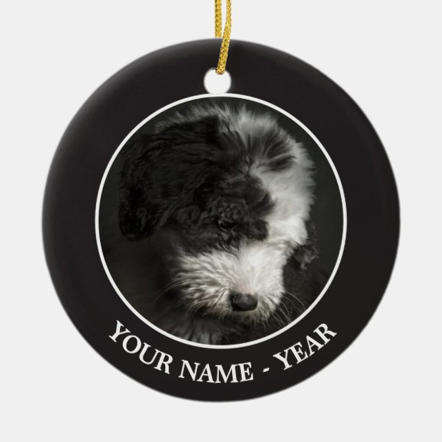 Bobtail puppy portrait in studio ceramic tree decoration (Front)