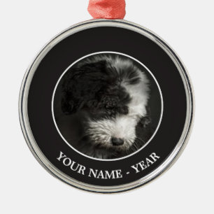 Bobtail puppy portrait in studio metal tree decoration