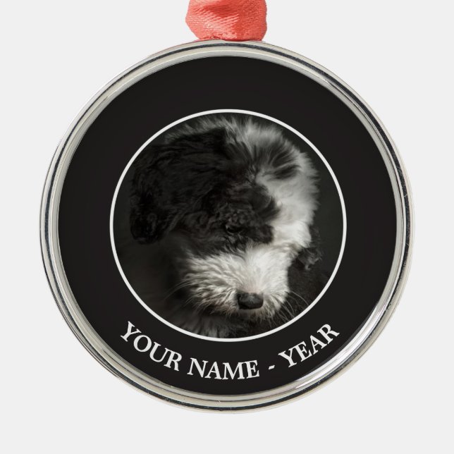 Bobtail puppy portrait in studio metal tree decoration (Front)