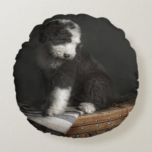 Bobtail puppy portrait in studio round cushion