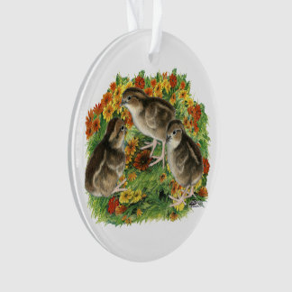 Bobwhite Garden Chicks Ornament