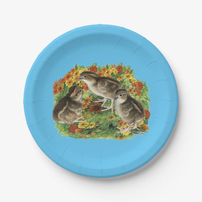 Bobwhite Garden Chicks Paper Plate (Front)