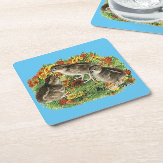 Bobwhite Garden Chicks Square Paper Coaster (Angled)