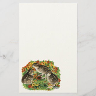 Bobwhite Garden Chicks Stationery