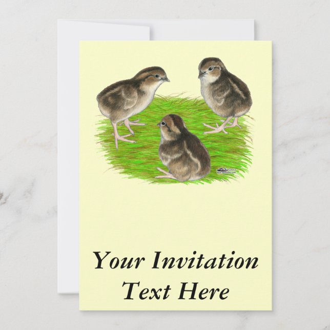 Bobwhite Quail Chicks Invitation (Front)