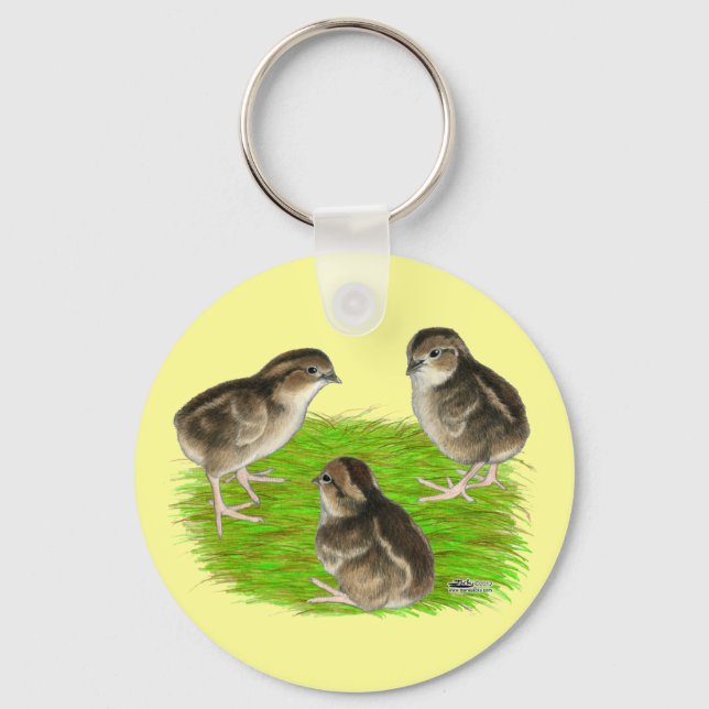 Bobwhite Quail Chicks Key Ring (Front)
