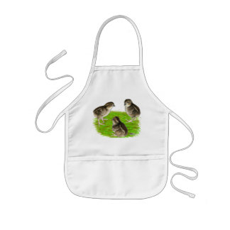 Bobwhite Quail Chicks Kids Apron