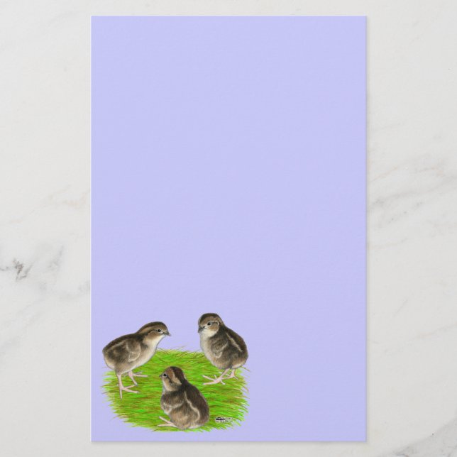 Bobwhite Quail Chicks Stationery (Front)