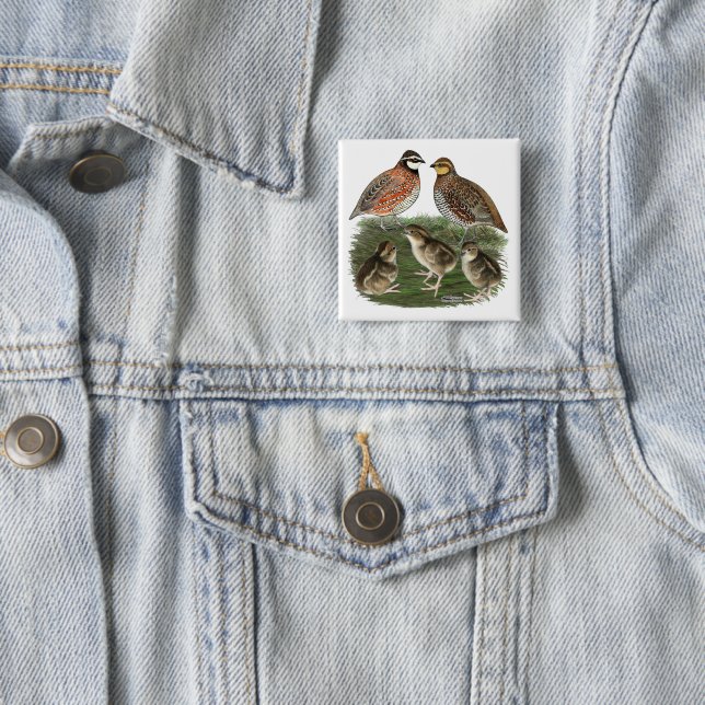 Bobwhite Quail Family 15 Cm Square Badge (In Situ)