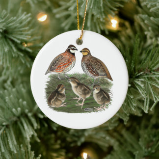 Bobwhite Quail Family Ceramic Tree Decoration