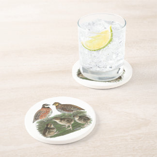 Bobwhite Quail Family Coaster