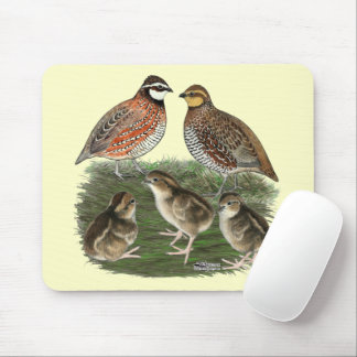 Bobwhite Quail Family Mouse Pad