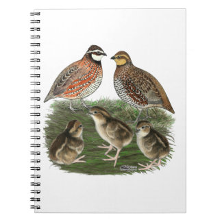 Bobwhite Quail Family Notebook