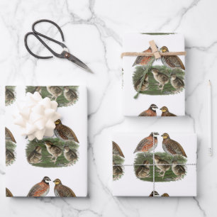 Bobwhite Quail Family Wrapping Paper Sheet