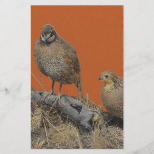 Bobwhite Quail (Georgia, Missouri and Tennessee) Stationery