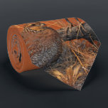 Bobwhite Quail (Georgia, Missouri and Tennessee) Tie<br><div class="desc">The Bobwhite Quail is the state game bird of Georgia,  Missouri and Tennessee.</div>