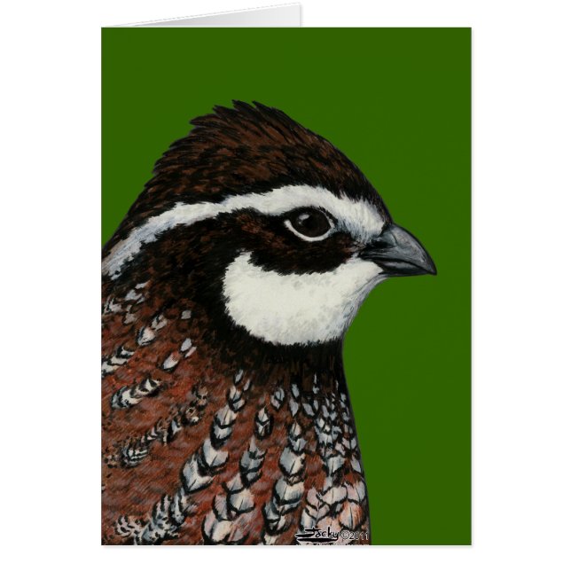 Bobwhite Quail Head (Front)