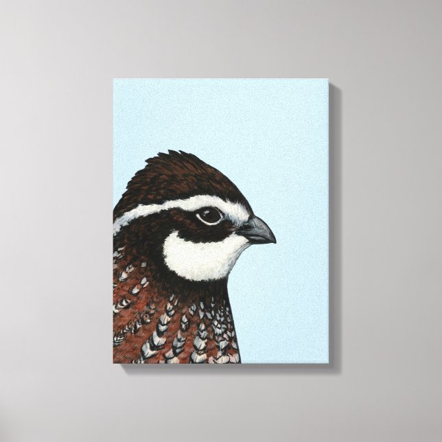 Bobwhite Quail Head Canvas Print (Front)