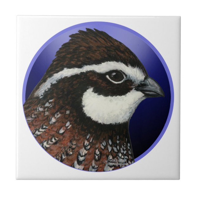 Bobwhite Quail Head Circle Tile (Front)