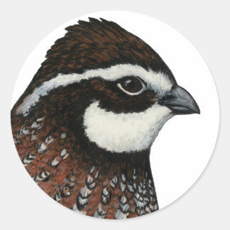 Bobwhite Quail Head Classic Round Sticker