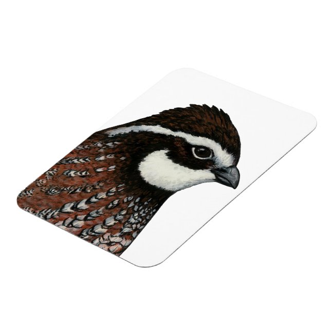 Bobwhite Quail Head Magnet (Left Side)