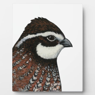 Bobwhite Quail Head Plaque