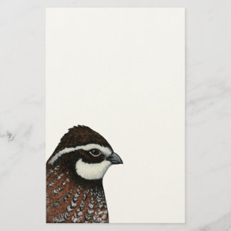Bobwhite Quail Head Stationery