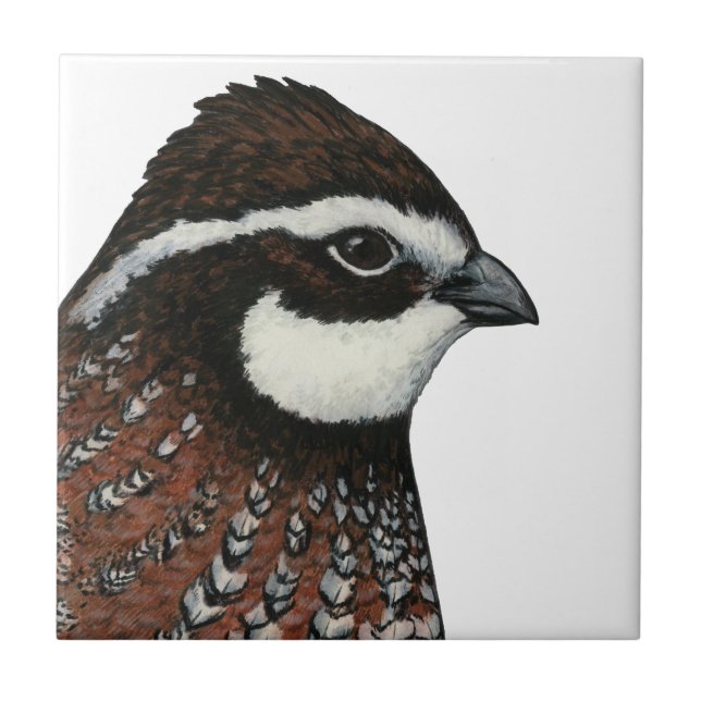Bobwhite Quail Head Tile (Front)