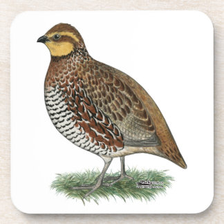 Bobwhite Quail Hen Coaster