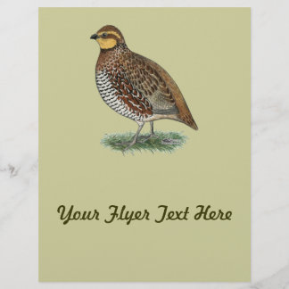 Bobwhite Quail Hen Flyer