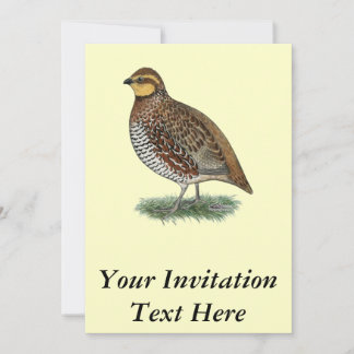 Bobwhite Quail Hen Invitation