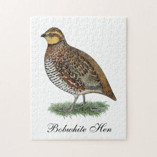 Bobwhite Quail Hen Jigsaw Puzzle
