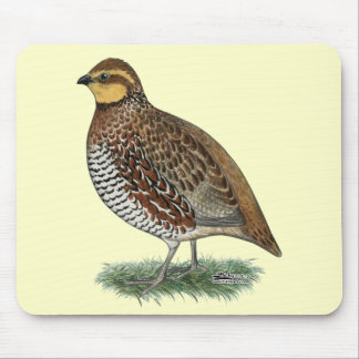 Bobwhite Quail Hen Mouse Pad