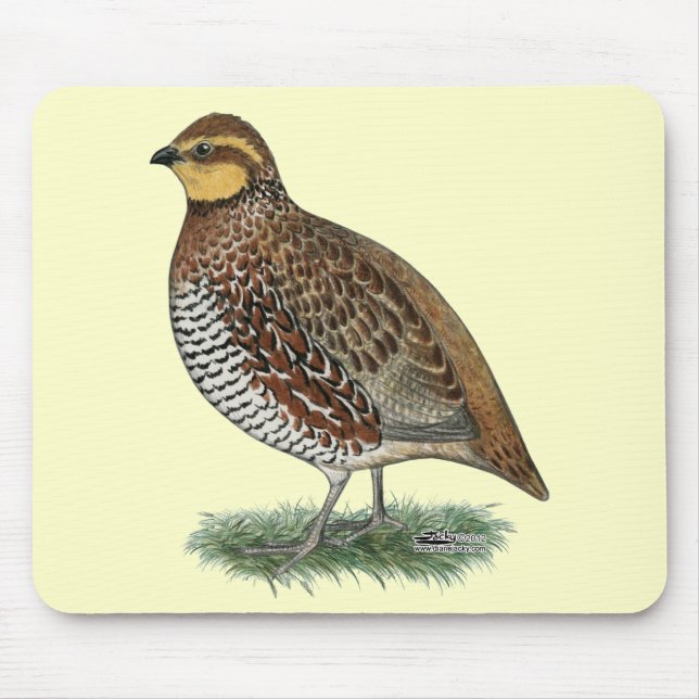 Bobwhite Quail Hen Mouse Pad (Front)