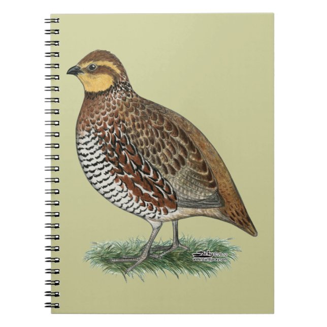 Bobwhite Quail Hen Notebook (Front)