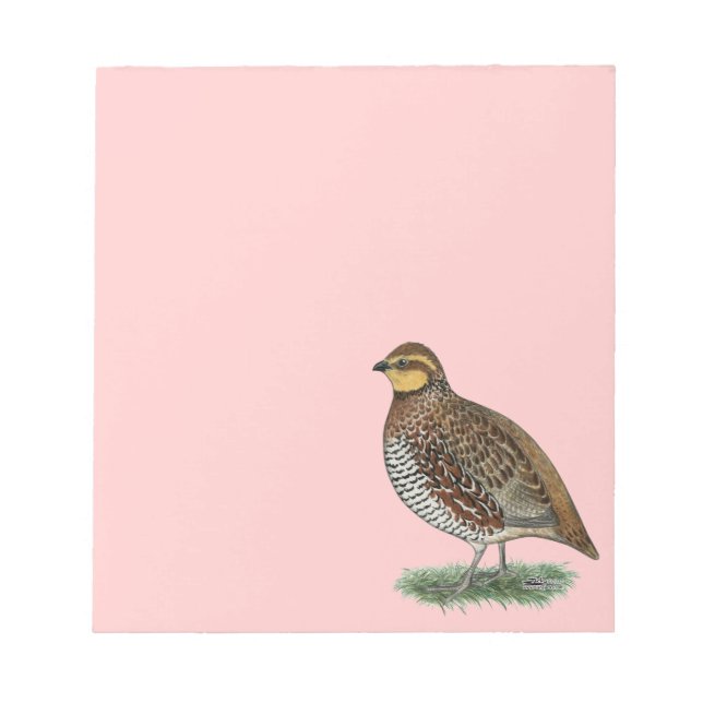Bobwhite Quail Hen Notepad (Front)
