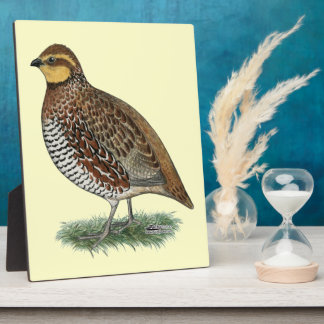 Bobwhite Quail Hen Plaque