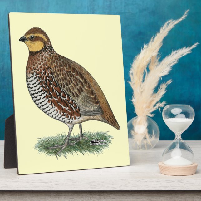 Bobwhite Quail Hen Plaque (Side)