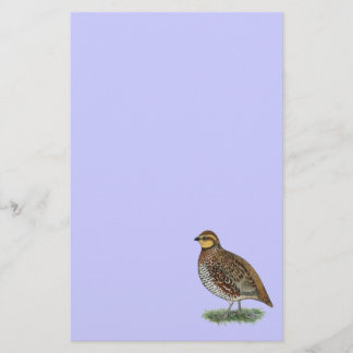 Bobwhite Quail Hen Stationery