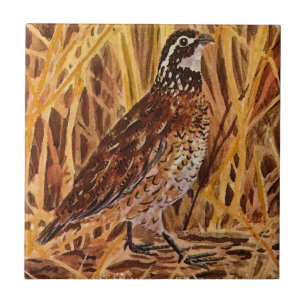 Bobwhite Quail Logo (field) Tile
