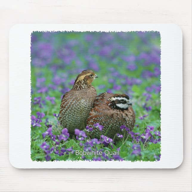 Bobwhite Quail Photography Mouse Pad (Front)