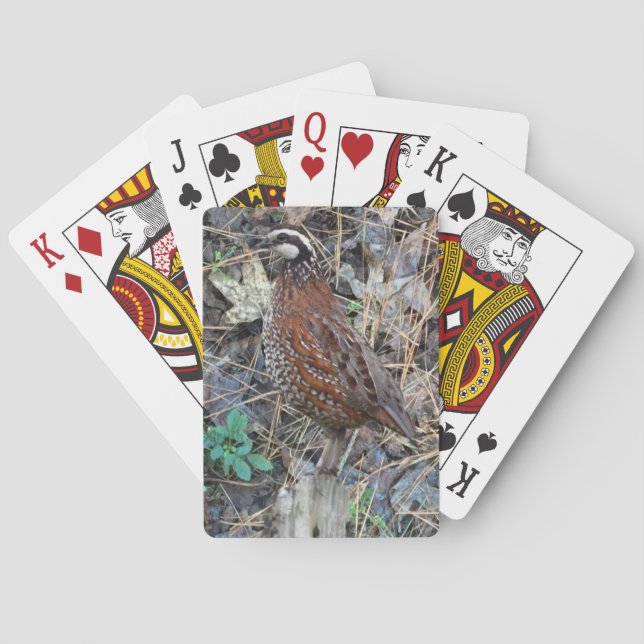 Bobwhite Quail Playing Cards, Quail Hunting Playing Cards (Back)