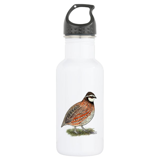 Bobwhite Quail Rooster 532 Ml Water Bottle (Front)