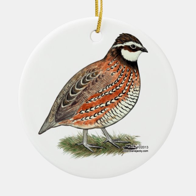 Bobwhite Quail Rooster Ceramic Tree Decoration (Front)