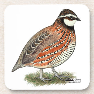 Bobwhite Quail Rooster Coaster